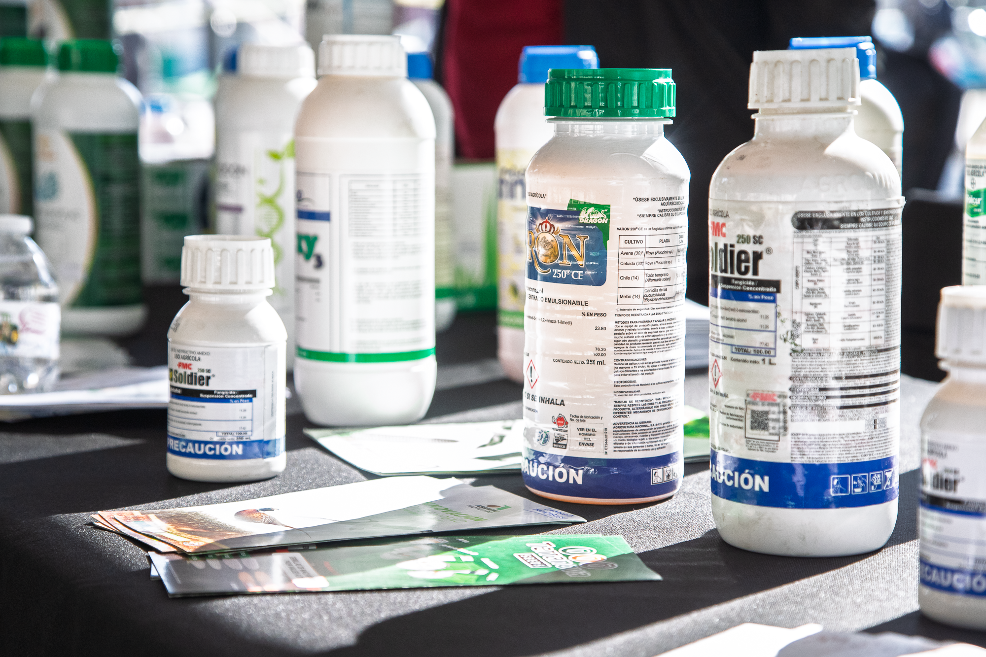 Imagen de la noticia